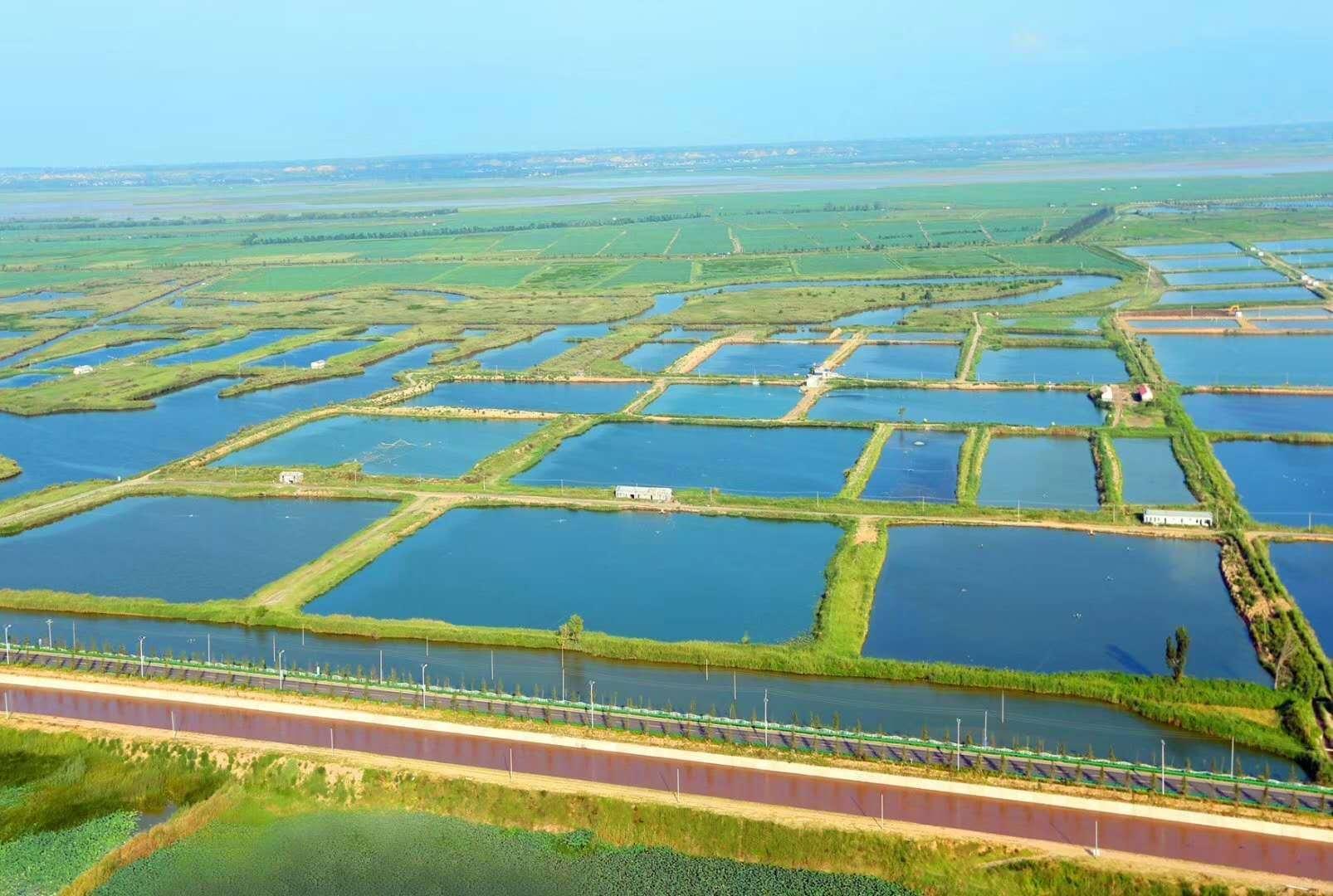 大美合阳县,大美合阳图片大全