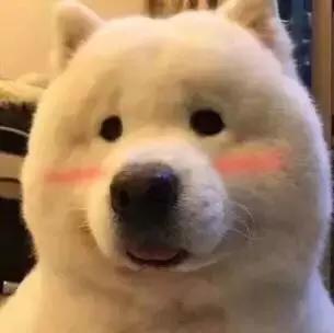 柚子高颜值推荐,柚子18斤