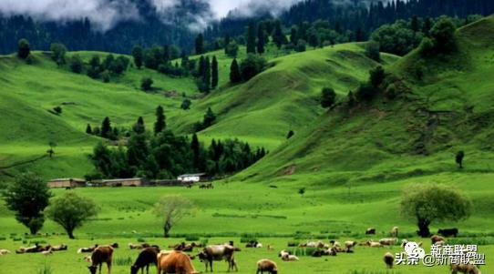 新疆华凌农牧科技开发有限公司,华凌农牧业