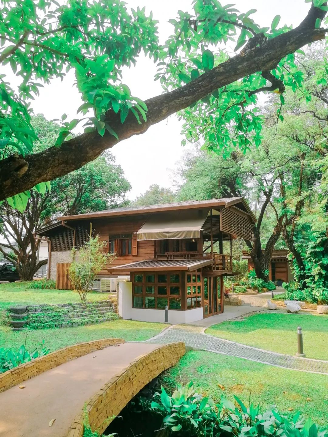 清迈的现状,清迈重逢