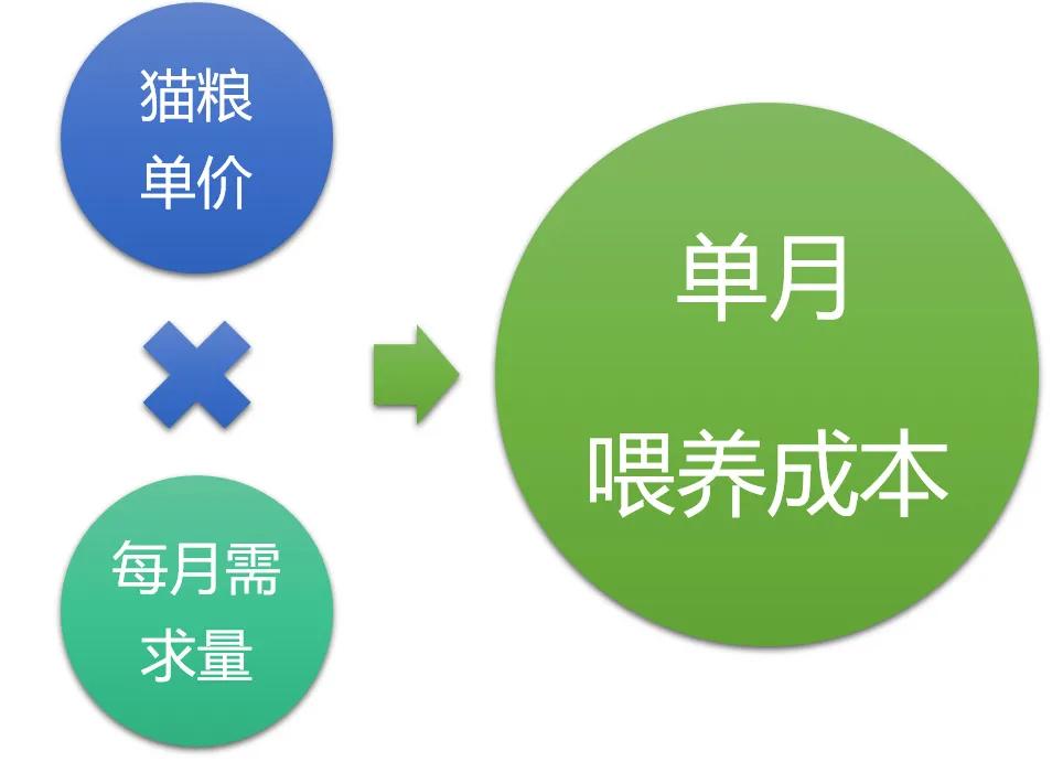 怎么选择猫粮才是正确的,一个月的猫咪怎么挑猫粮