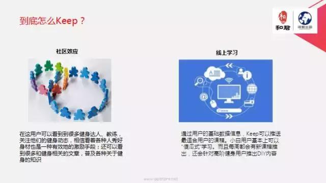 文娱行业地毯扫描：论吃喝玩乐我只服这四个天才！