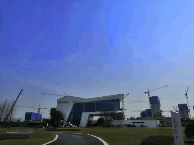 买花港,就是一场博弈