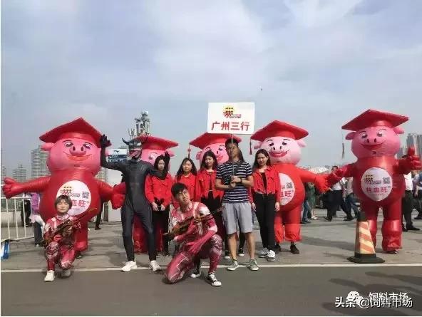 猪补铁还有效吗 (您是否知道畜禽补铁并不等于补血)