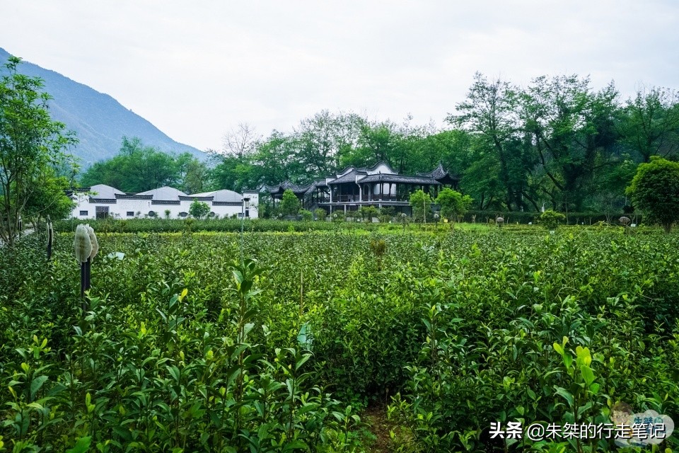 安徽变化很大的石台县,安徽石台山水风光