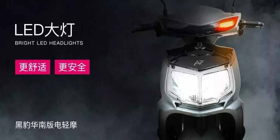 V为大观，一场来自华南的感官之旅