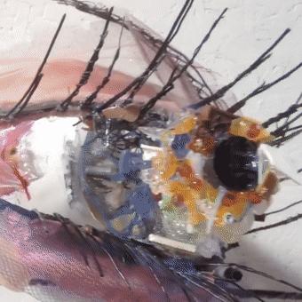 閫忚澶栨寕鐪熷疄浜嬩欢,閫忚澶栨寕鐪熺殑鍋囩殑