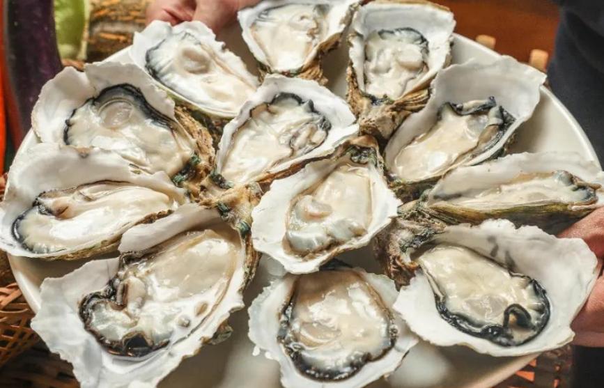 佛山顺德好吃的醉鹅农庄推荐,佛山南海桂城农庄推荐