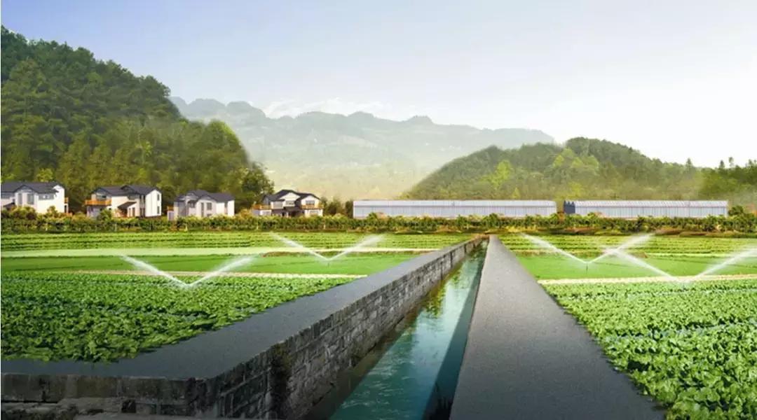 化肥为什么被称为“土地*片鸦**”？如何实现化肥使用量零增长行动？