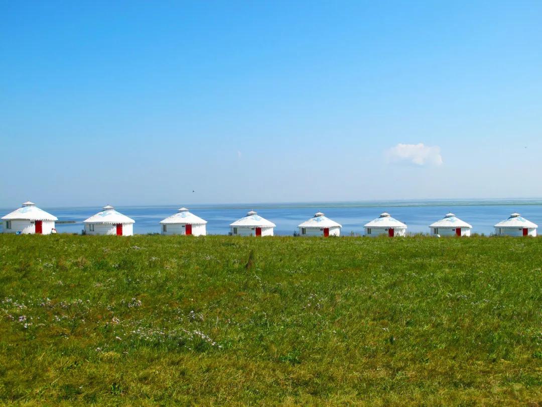 八月的呼伦贝尔大草原,辽阔的呼伦贝尔大草原风景