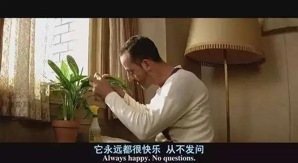 吐槽树洞完整版,吐槽小树洞完整视频