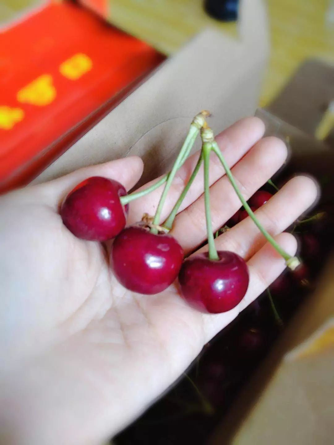 10元的鲍鱼能买吗,10元一斤的鲍鱼