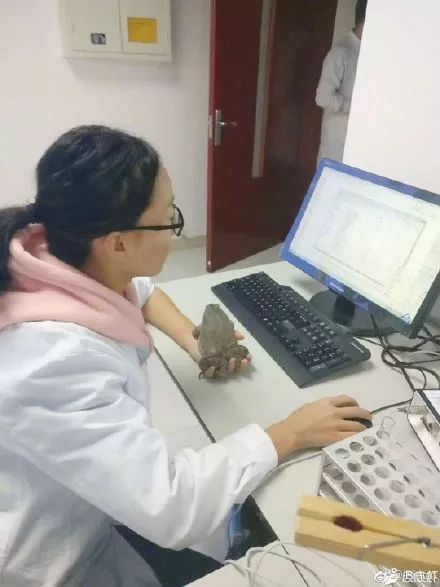 西安四大医学院,西安医学院第三临床医学院