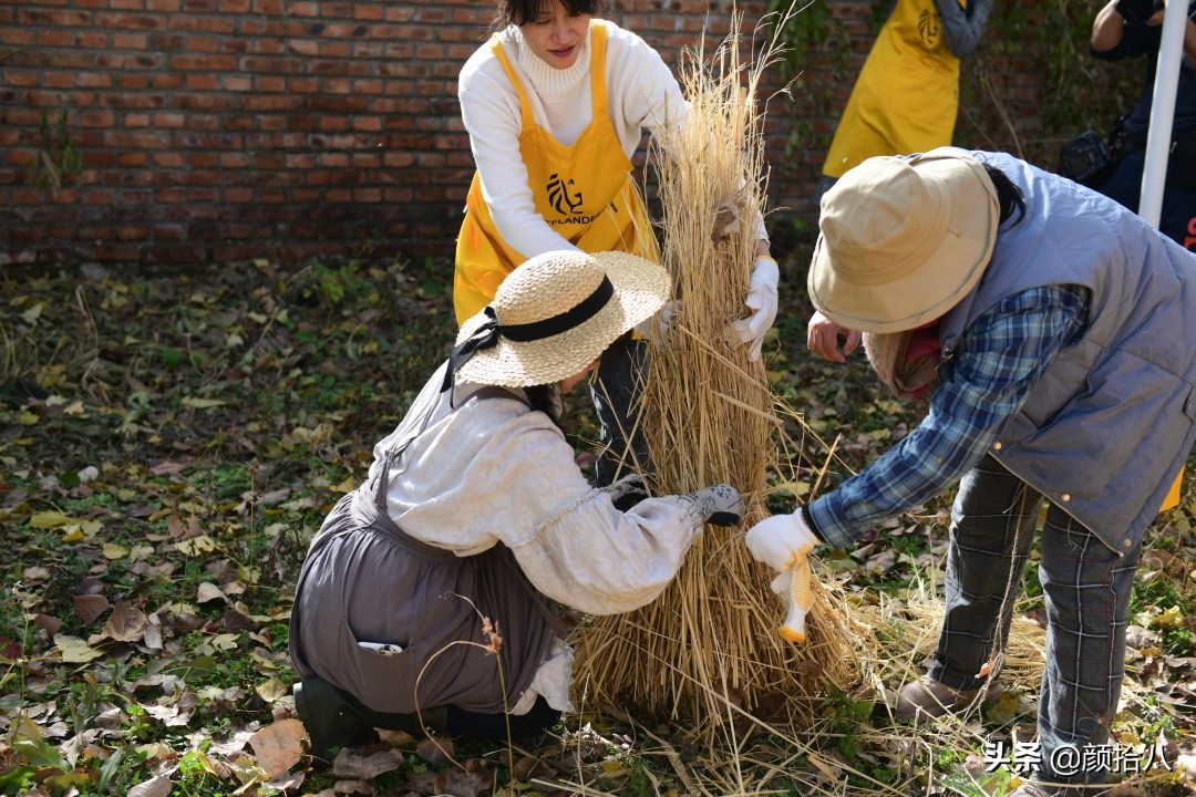 没有比利时花园游,来点比利时啤酒吧|随笔