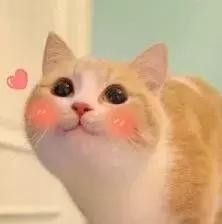 十款零差评水乳套装干敏皮,水乳哪一款好用又平价