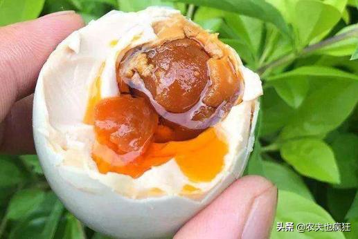 广西北部湾红树林海鸭蛋央视,广西红树林海鸭蛋视频