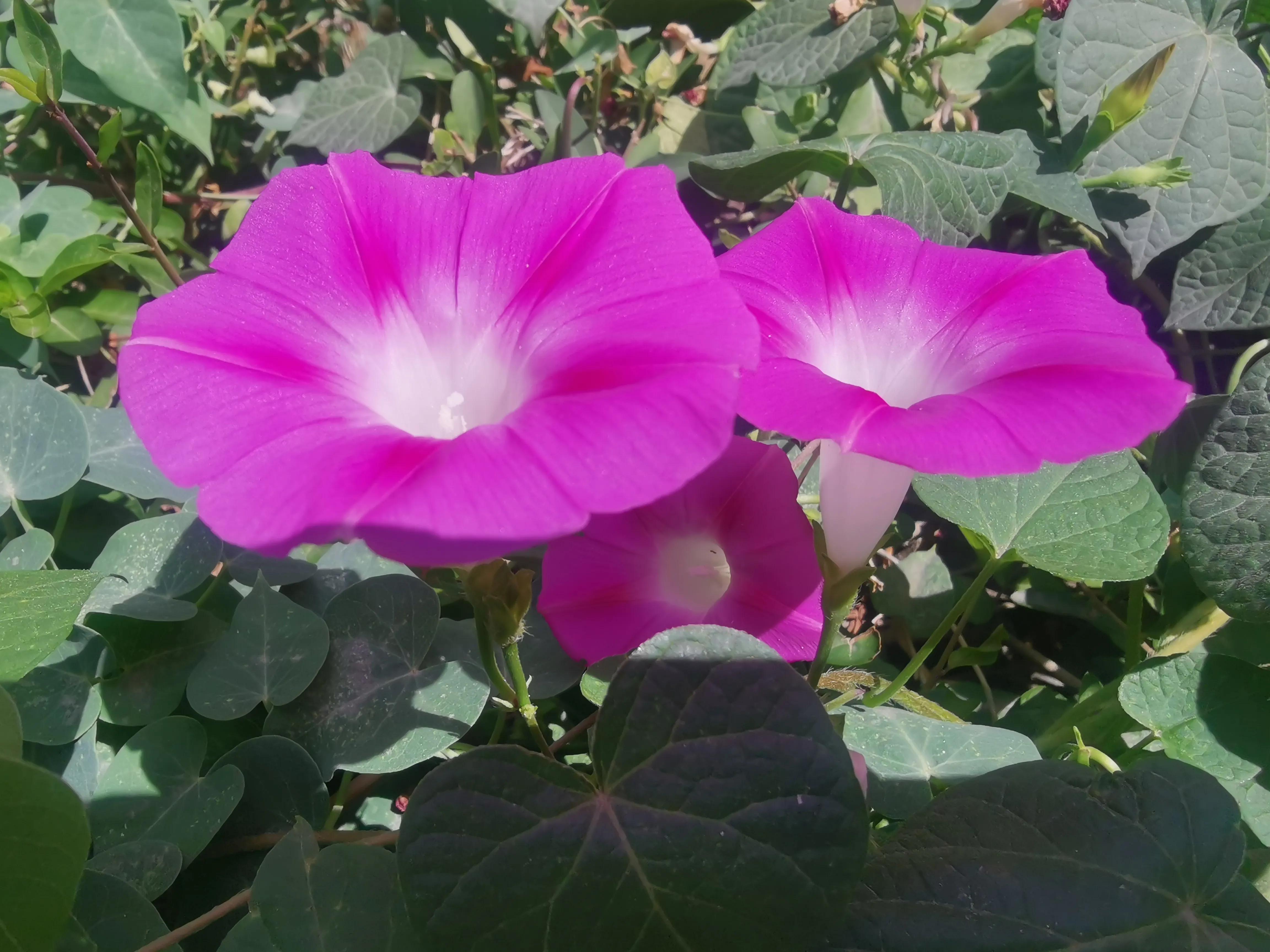 记忆模糊的三年,记忆回到三年前