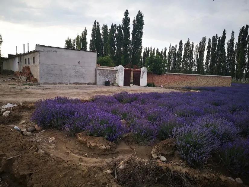 喀拉峻穿越琼库什台几天,喀拉峻穿越琼库什台