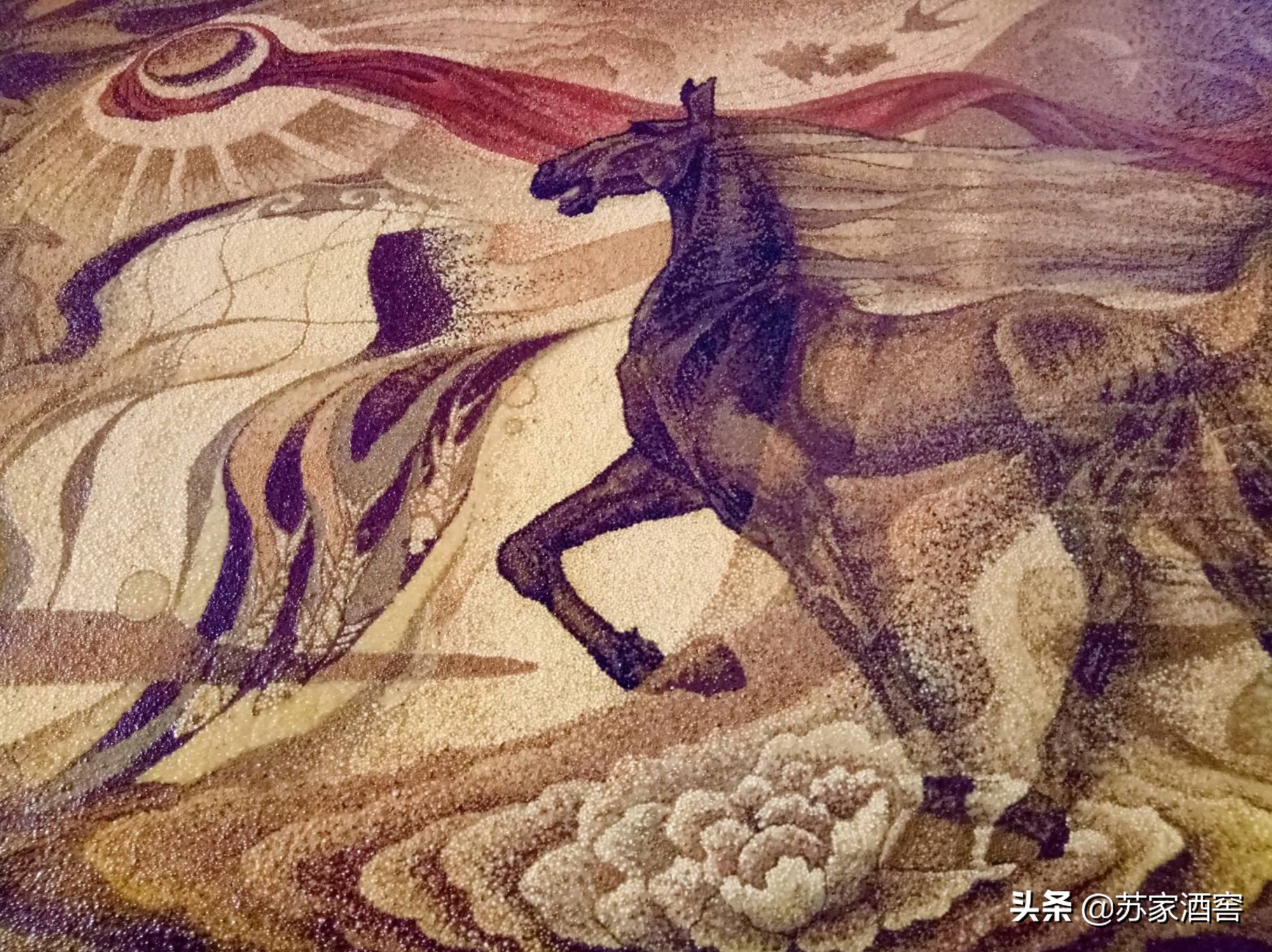 五谷也选美，粮食瞬间变金沙