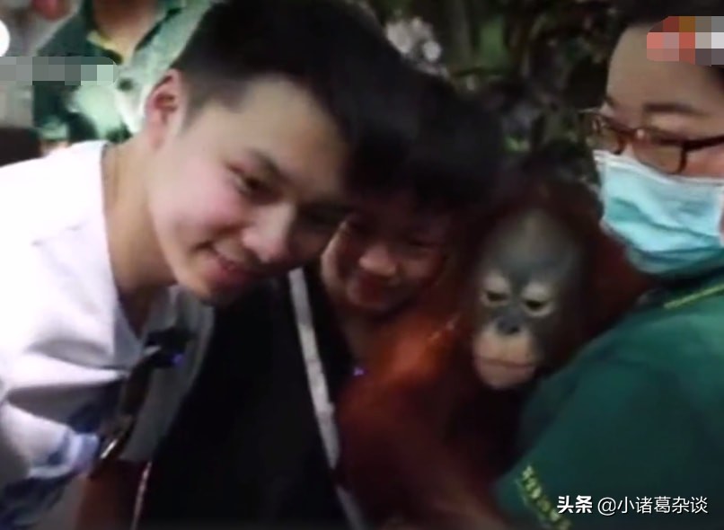 独此一家！全红婵全程被跟拍，广东台国庆节连播3天，真有牌面啊