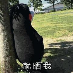 防晒霜需要避开的成分,防晒霜要避开什么成分的