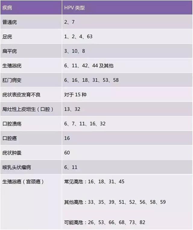 【承德市妇幼儿童医院快讯】到底查TCT还是HPV？快速读懂“宫颈癌”筛查报告！（3）