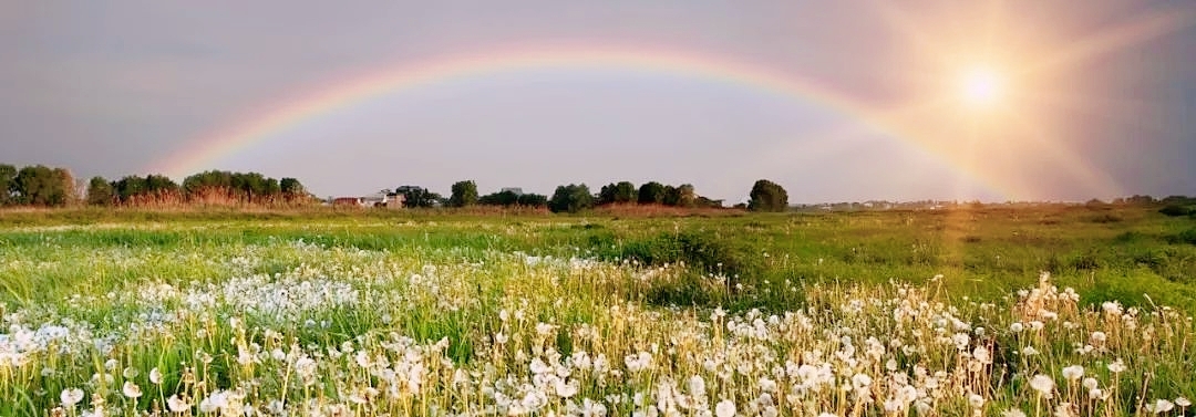 性格内向不爱说话用英语怎么说,他性格内向用英语怎么说