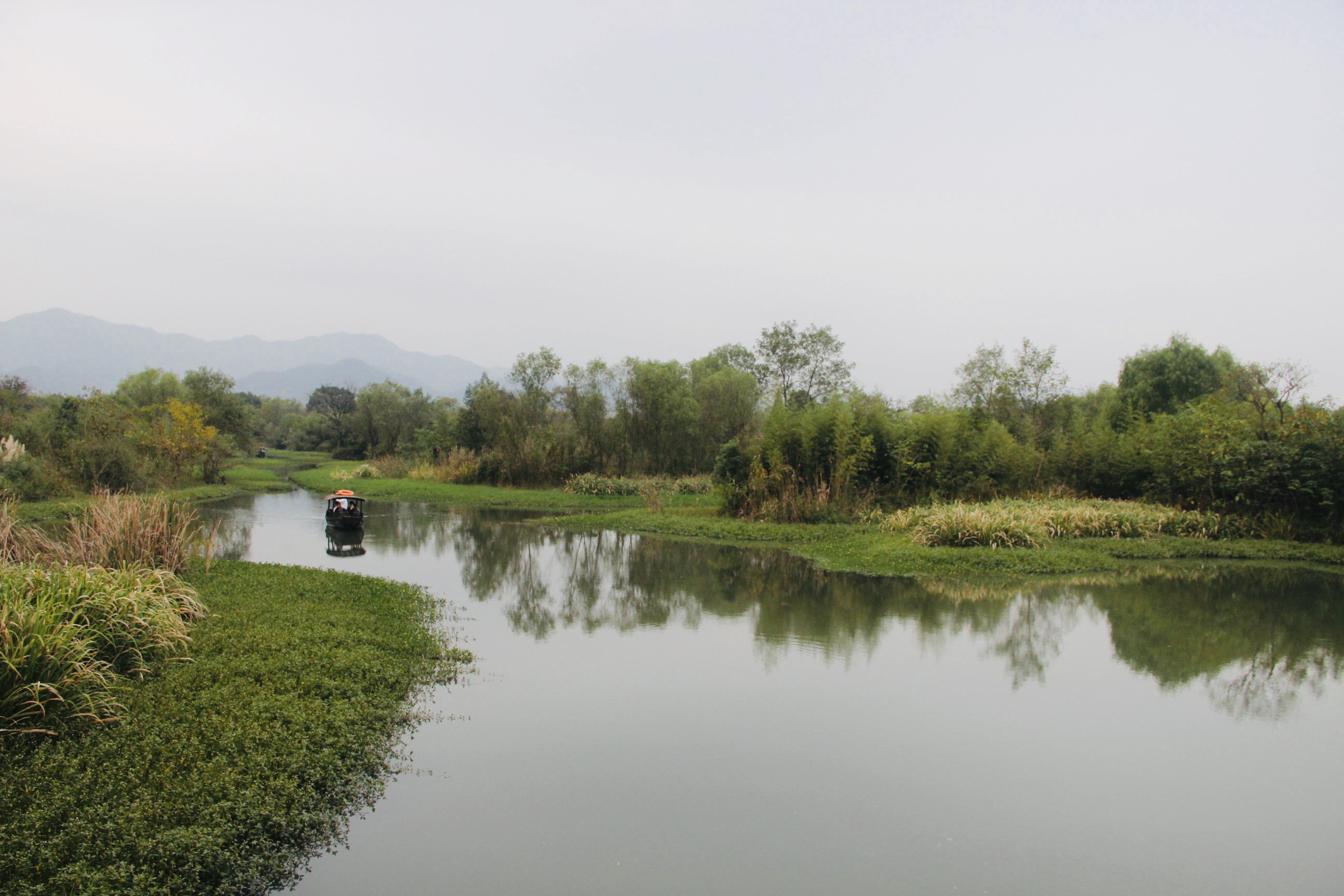 被誉为“杭州之肾”的西溪湿地值得去吗？网友：景色比西湖还美