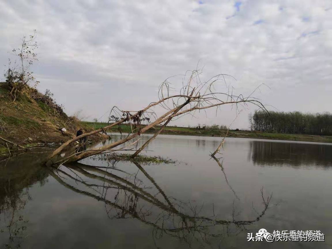 野钓玉米正确的挂钩方法技巧,野钓挂钩怎么处理