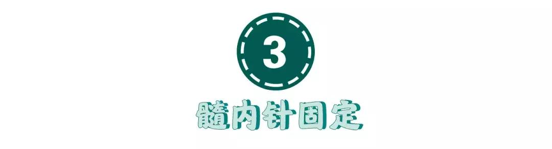 猫咪狗狗骨折了怎么办？扒一扒宠物“骨子里”的那些事