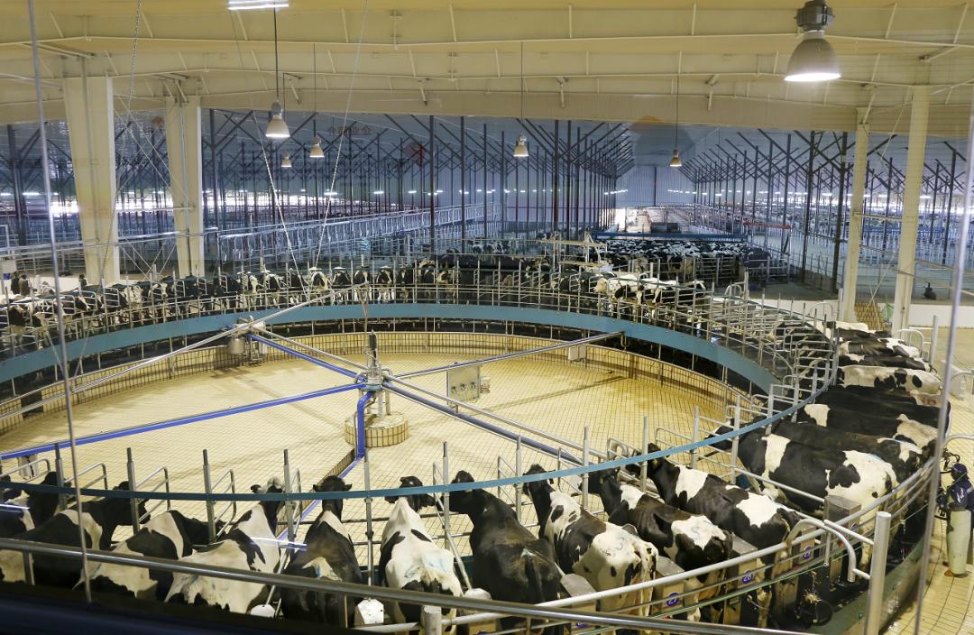 按下重启键有序恢复正常生产生活,中国按下重启键