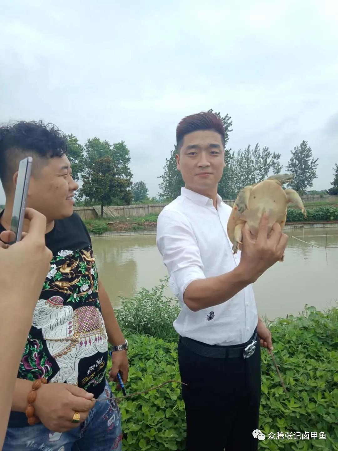 安福首家特色卤甲鱼,河南众腾张记卤甲鱼