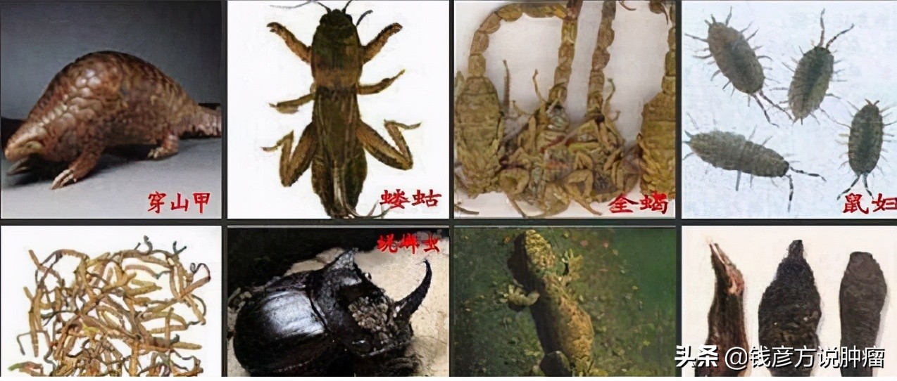 治疗肺癌晚期中医偏方,肺癌晚期老人中药治疗有好转