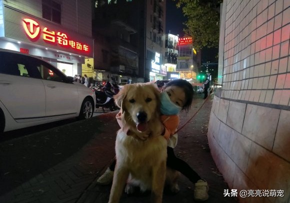 金毛在家管不住,金毛呆在家里不会害怕吧