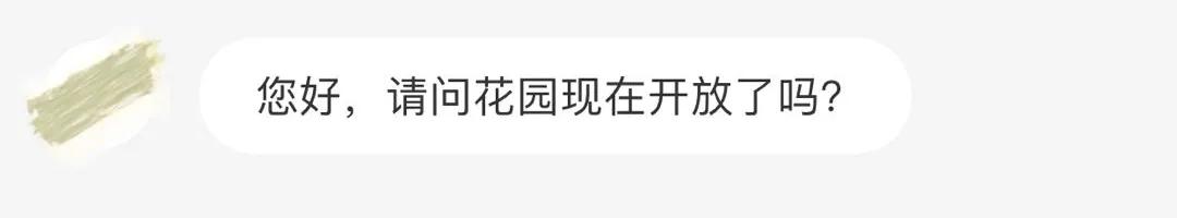 梦幻花园开园了！就在双流彭镇！免费的那种