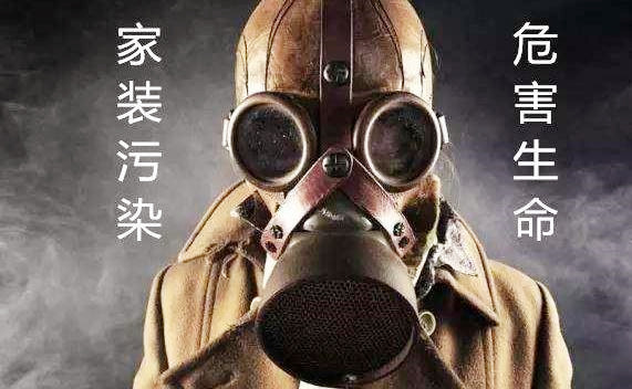 除甲醛绿植吸收的甲醛去哪里了,正确除甲醛的绿植