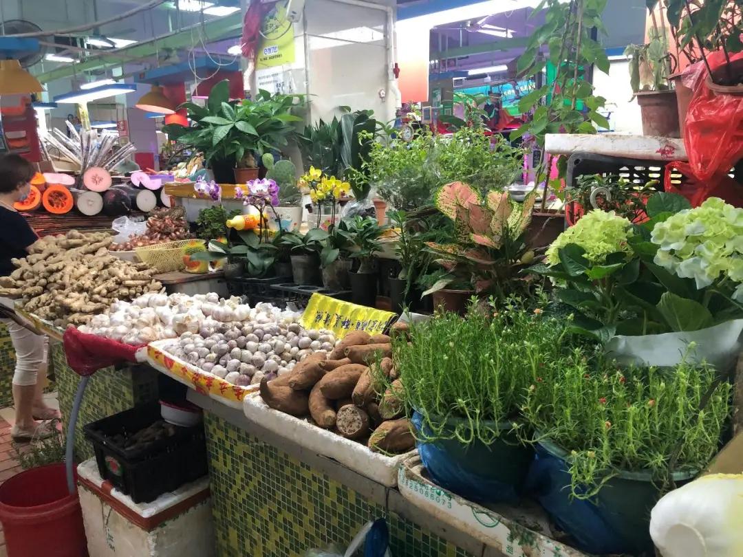 越秀｜哪家档最信得过？天天在淘金肉菜市场买菜的街坊们，快来投票帮TA乘风破浪