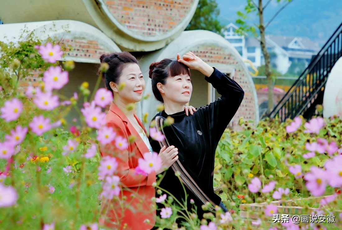 蚌埠禾泉小镇花海门票,游禾泉小镇