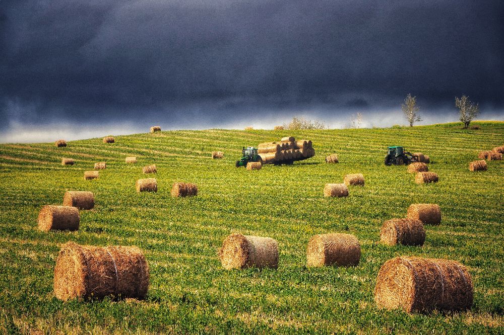 呼伦贝尔旅游攻略10月中旬,呼伦贝尔旅行攻略推荐