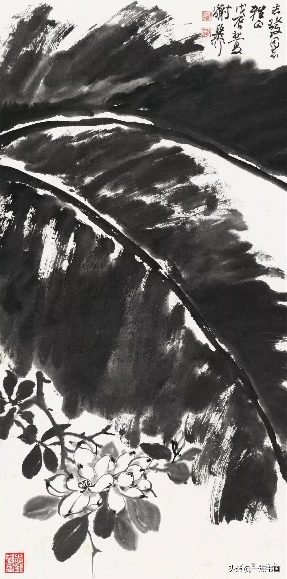 流光容易把人抛绿了芭蕉赏析,流光容易把人抛红了海棠绿了芭蕉