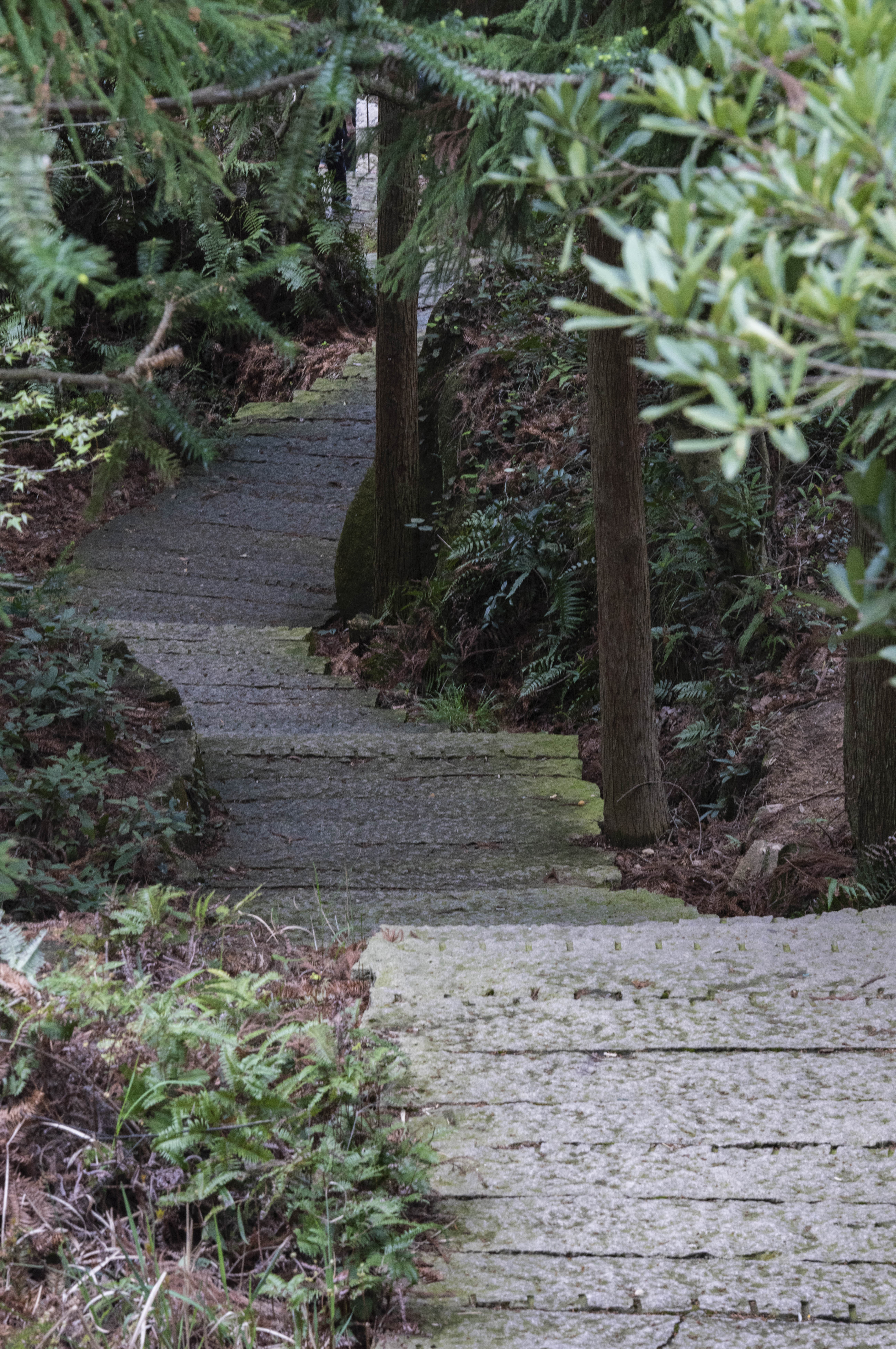 一个让人心灵净化的地方,一个让心灵得到治愈的地方