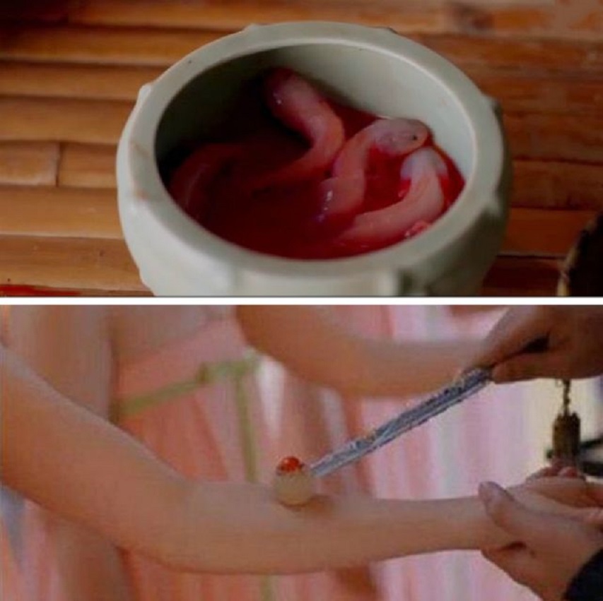 壁虎无毒为什么会算在五毒中,壁虎是不是在五毒中毒性最小