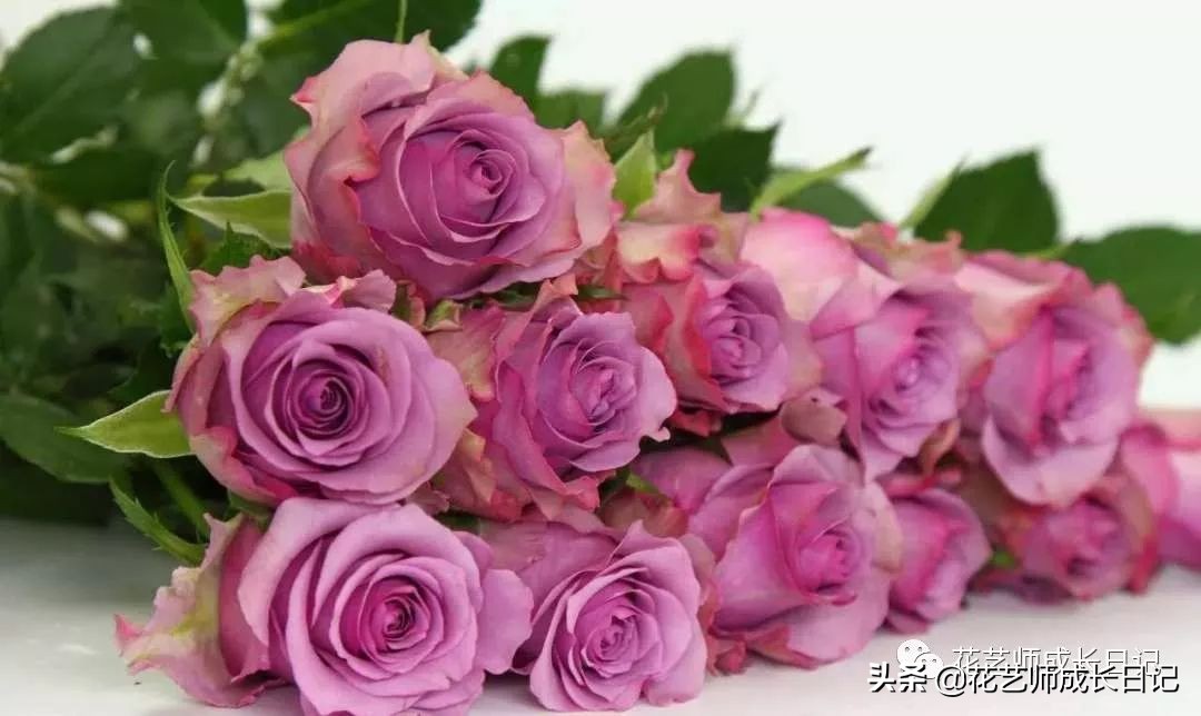 送给妈妈的手工花康乃馨,母亲节送妈妈什么颜色康乃馨