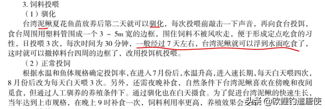 话说欧鲤钓之科学篇,欧鲤钓知识讲解