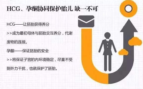 怎样看孕酮和hcg报告单,如何看懂hcg报告