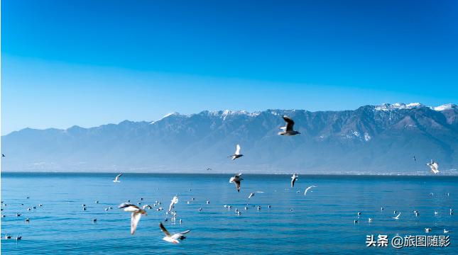 大理和版纳哪个知名度高,大理目前人气