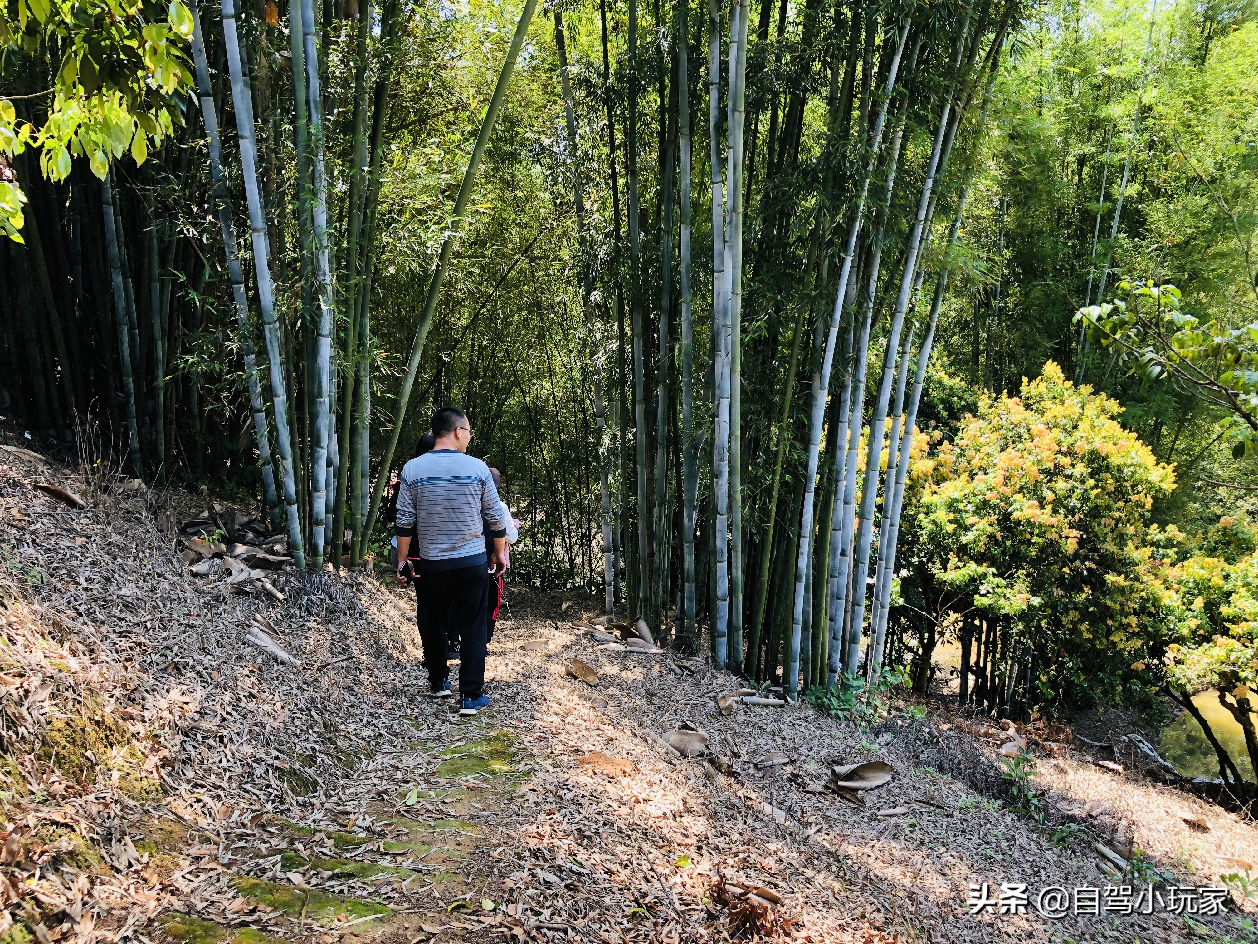 百里画廊风景区评价,从化百里画廊人少景美
