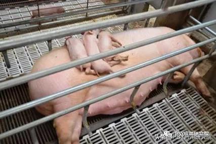 奶水要充盈才会有奶阵吗,奶水需要每次吸干净吗