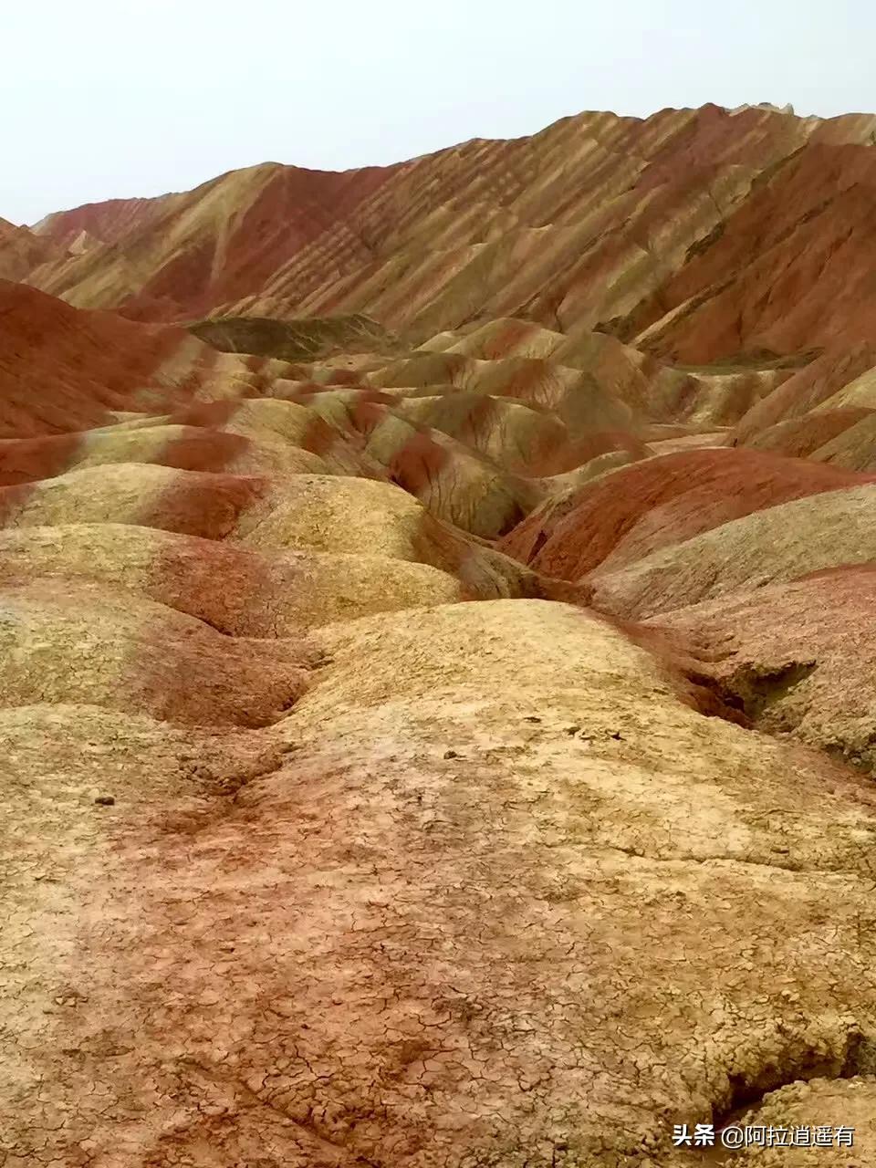 青海湖旅游小环线攻略路线推荐,暑假青海湖三日游旅游攻略