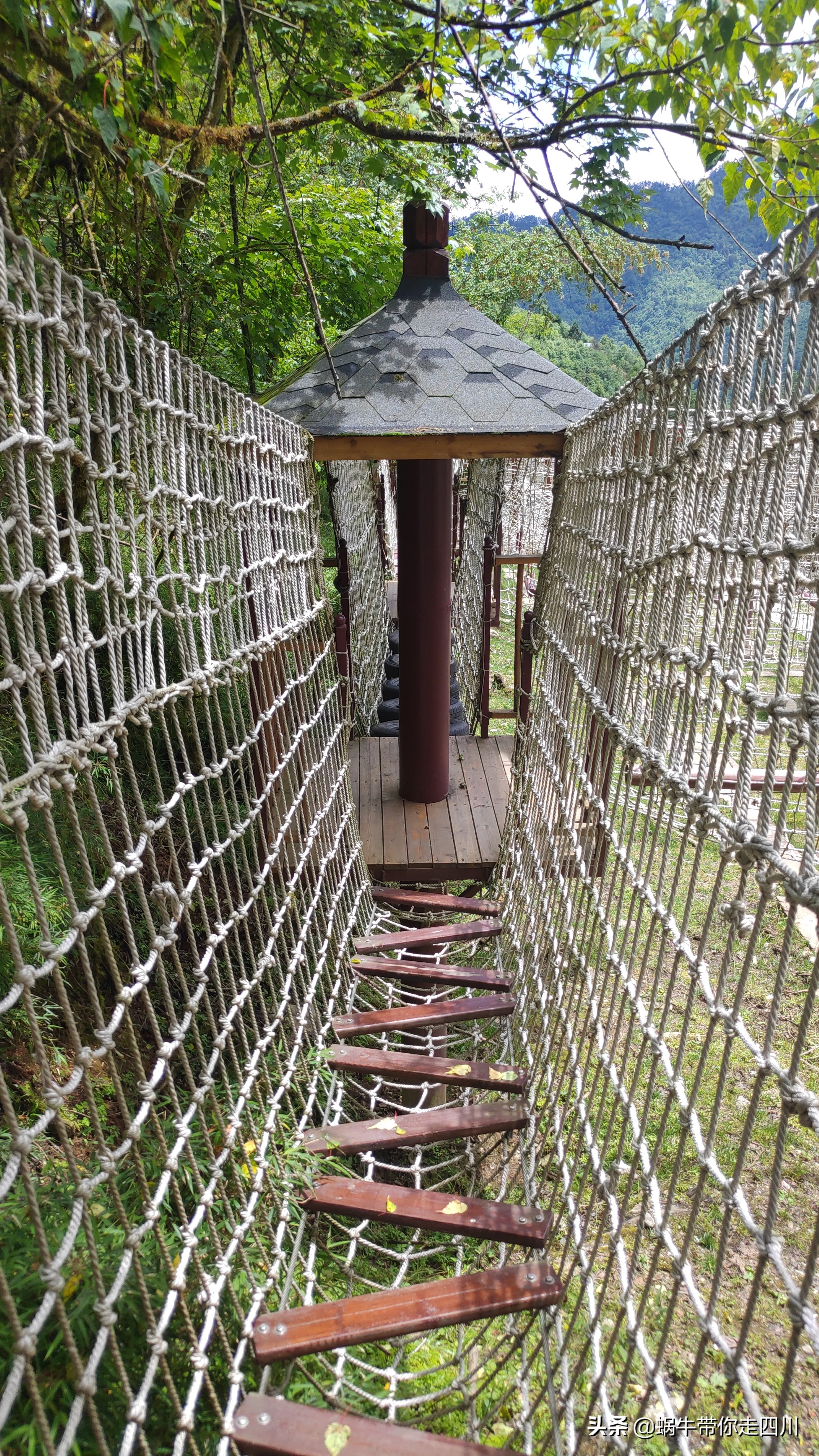 带小朋友出去看小动物,带小孩去海洋动物园